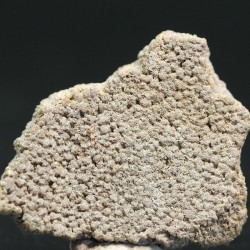 Cáscara de huevo de dinosaurio