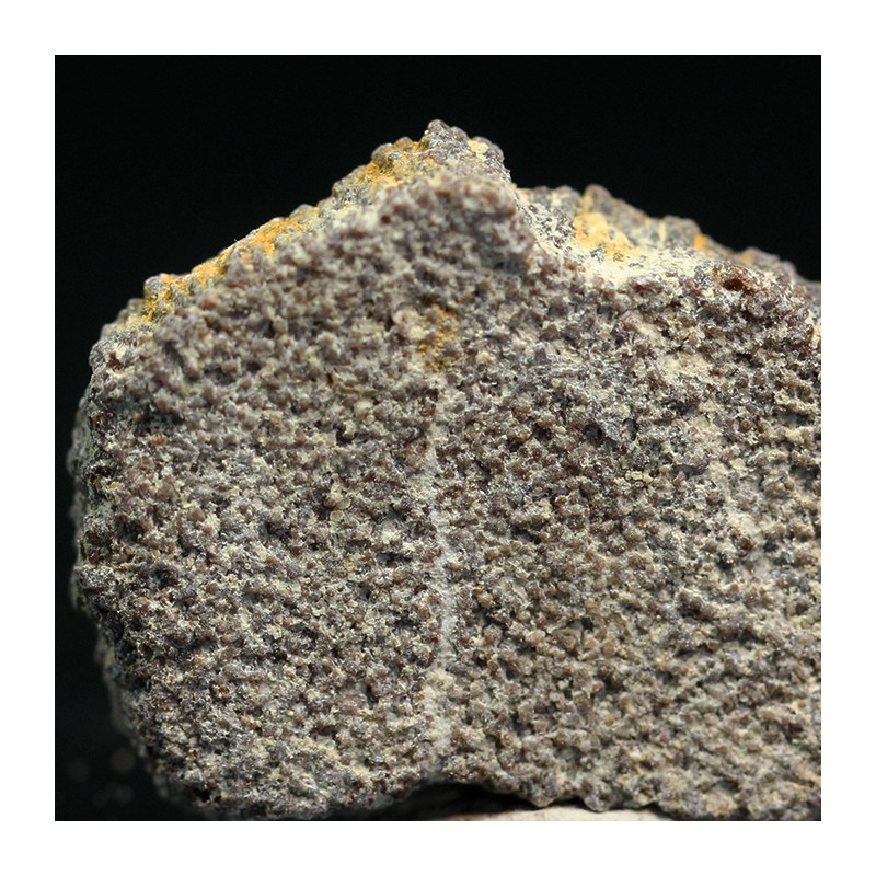 Cáscara de huevo de dinosaurio
