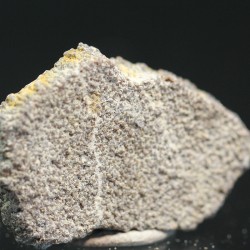 Cáscara de huevo de dinosaurio