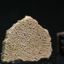 Cáscara de huevo de dinosaurio