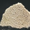 Cáscara de huevo de dinosaurio