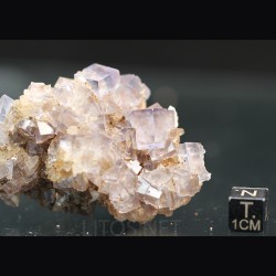 Fluorita