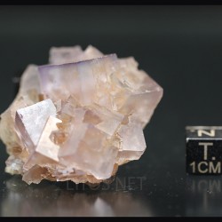 Fluorita