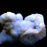 Calcedonia