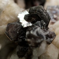 Mica moscovita
