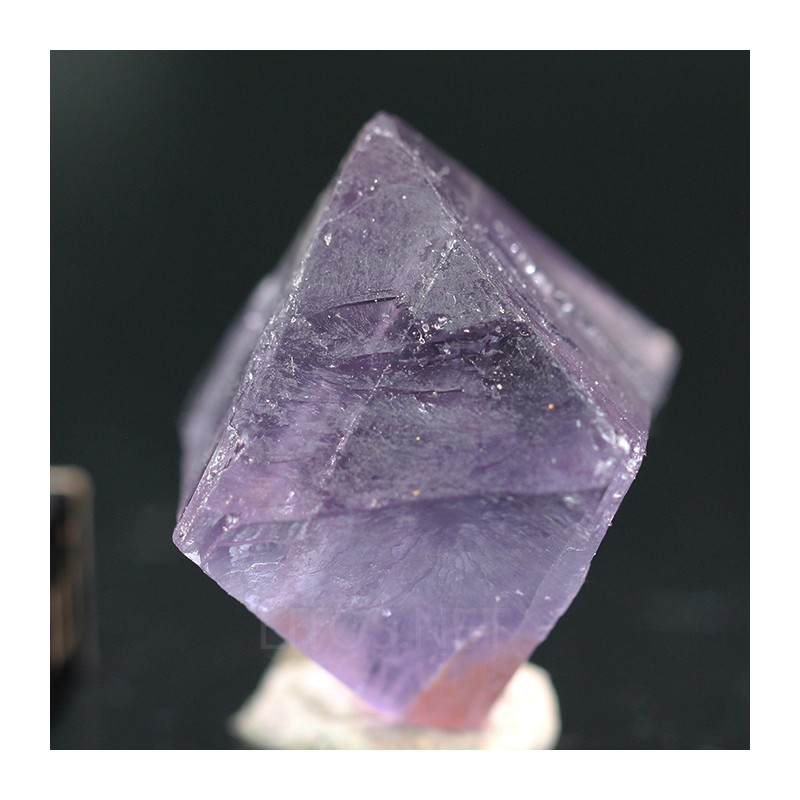 Fluorita