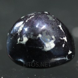 Covellina