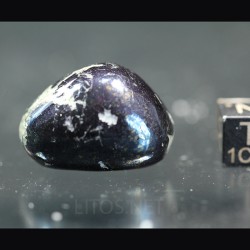 Covellina