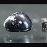 Covellina