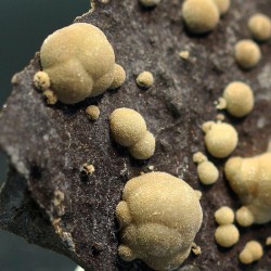 Calcita
