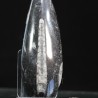 Orthoceras michelinoceras s.p. fosil