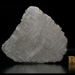 Meteorito metálico muonionalusta