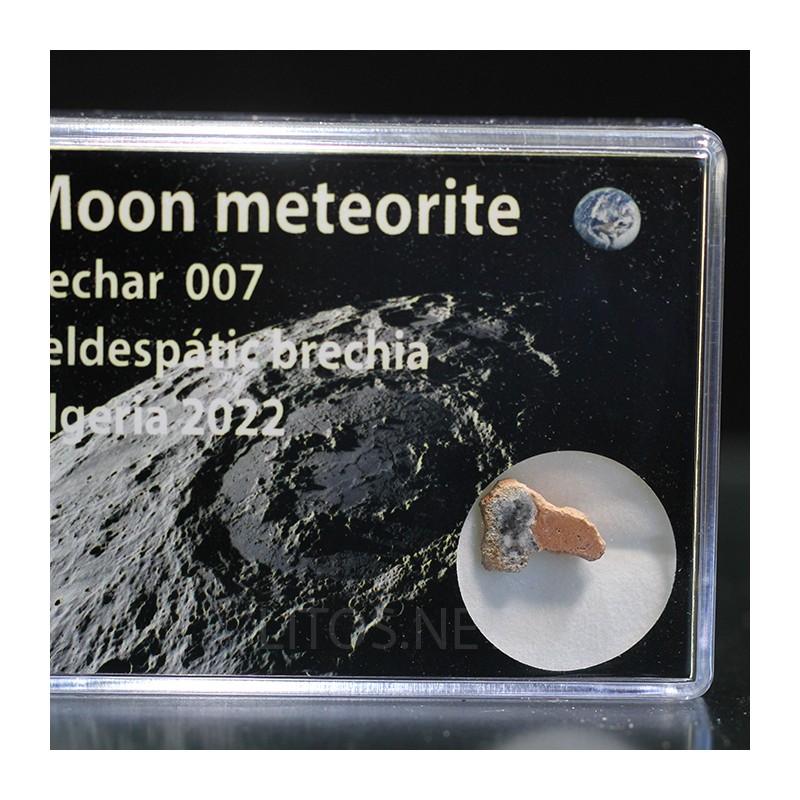 Meteorito lunar brecha anortosita