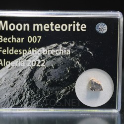 Meteorito lunar brecha anortosita