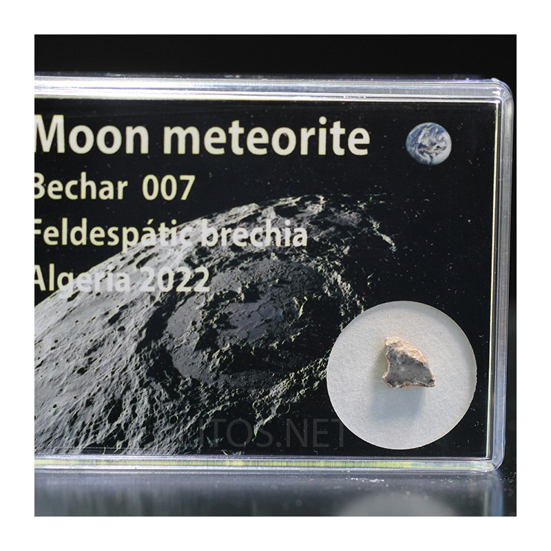 Meteorito lunar brecha anortosita