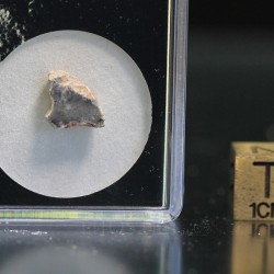 Meteorito lunar brecha anortosita