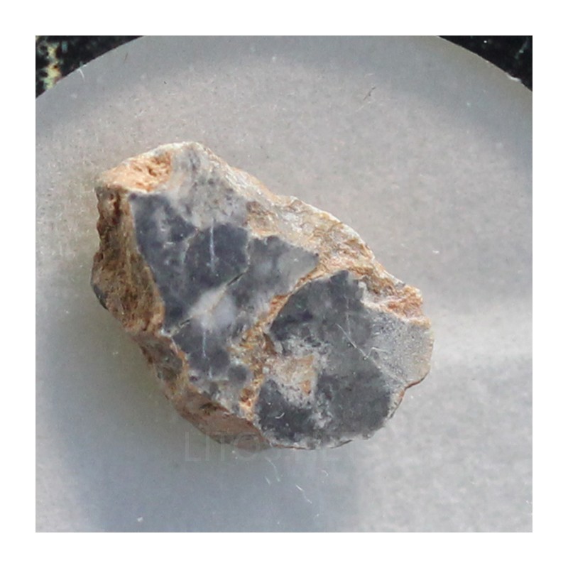 Meteorito lunar brecha anortosita
