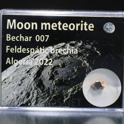 Meteorito lunar brecha anortosita