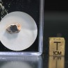 Meteorito lunar brecha anortosita