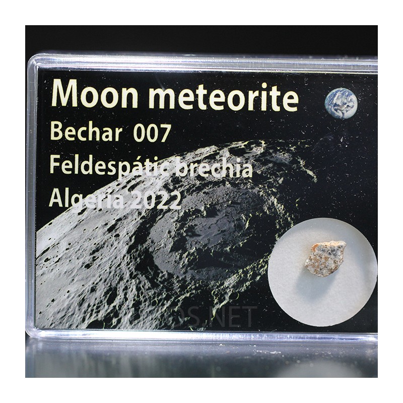 Meteorito lunar brecha anortosita