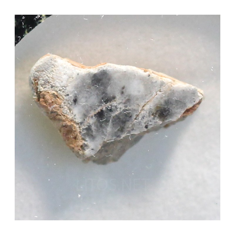 Meteorito lunar brecha anortosita