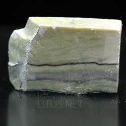 Algas verde-azuladas fósiles