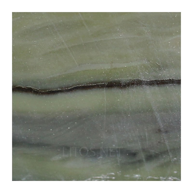 Algas verde-azuladas fósiles