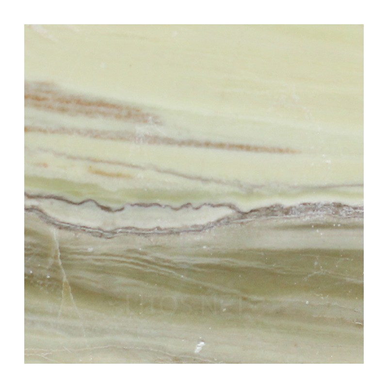 Algas verde-azuladas fósiles