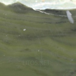 Algas verde-azuladas fósiles