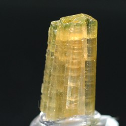 Elbaita