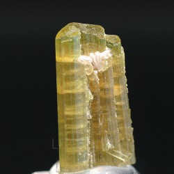 Elbaita