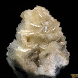 Magnesita