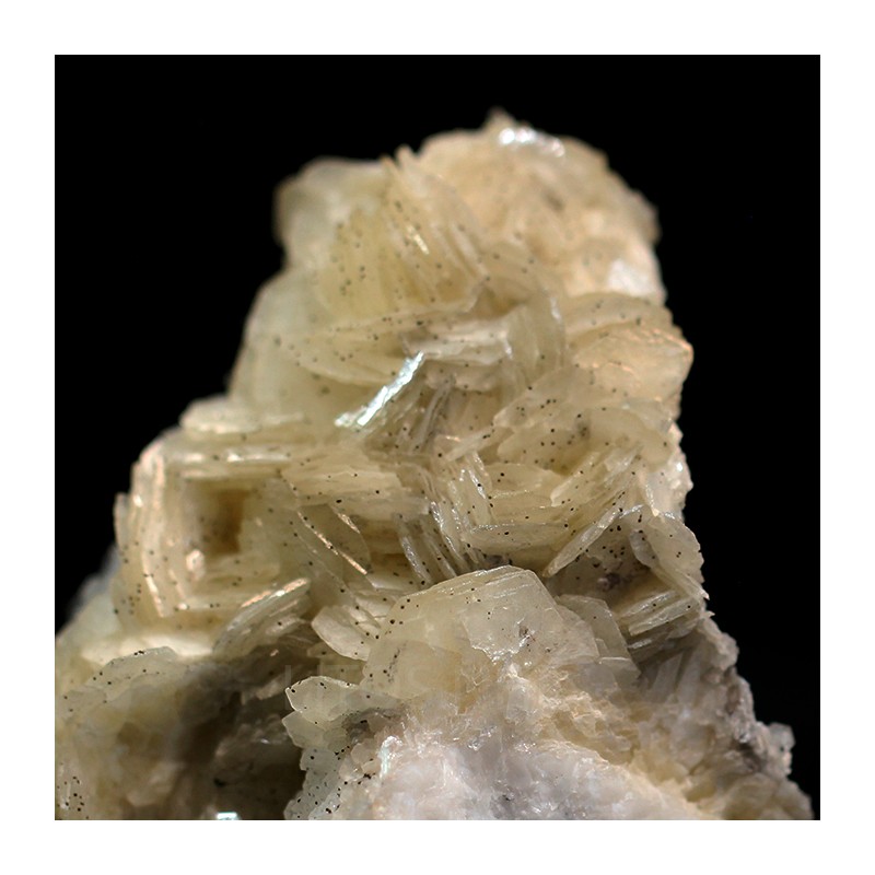 Magnesita