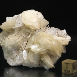 Magnesita