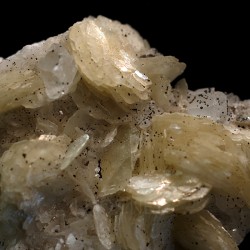 Magnesita
