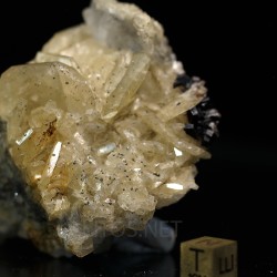 Magnesita