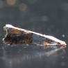 Meteorito Seymchan