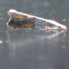 Meteorito Seymchan