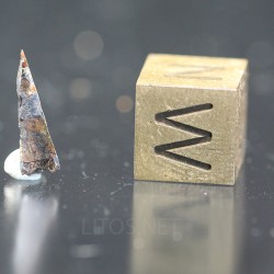Meteorito Seymchan