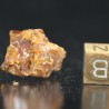 Ambar