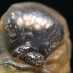 Ágata lemuriana