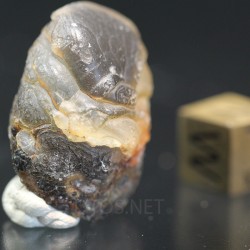 Ágata lemuriana