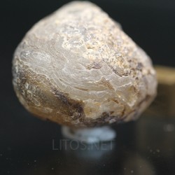 Ágata lemuriana