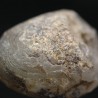 Ágata lemuriana