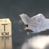 Meteorito Vaca Muerta mesosiderito  -