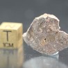 Meteorito Vaca Muerta mesosiderito  -