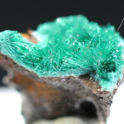 Atacamita