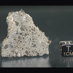 NEA104