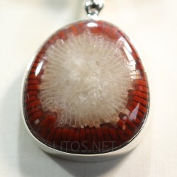 Coral fósil colgante