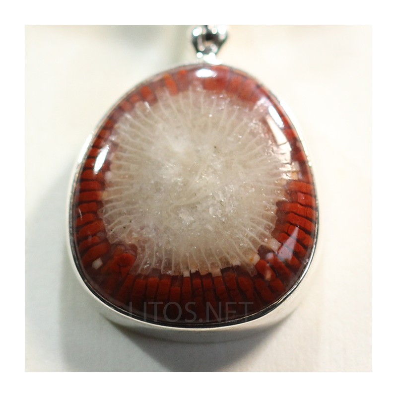 Coral fósil colgante